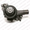 DELPHI WP4913 Water Pump